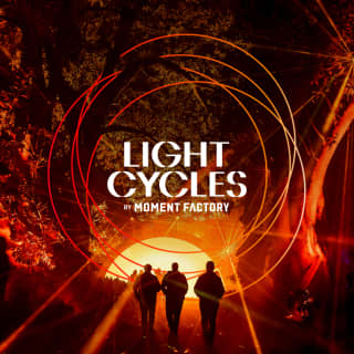 Light Cycles: An Immersive Night Walk - Special Accommodations