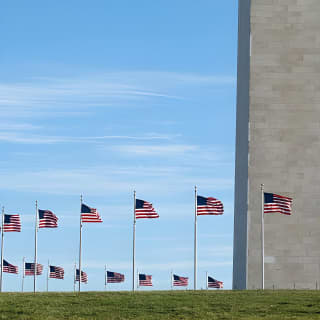 Mount Vernon and Old Town Alexandria Day Trip from Washington DC