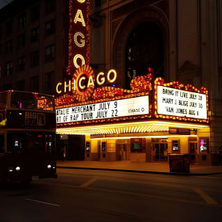 Big Bus Chicago Sunset Tour