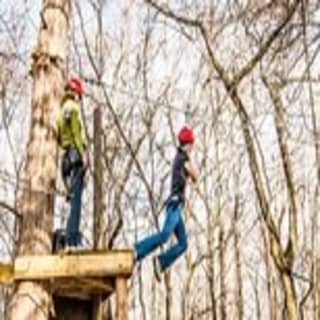 Wetland Zip Tour