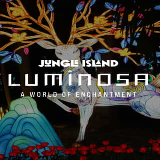 Luminosa: A World of Enchantment