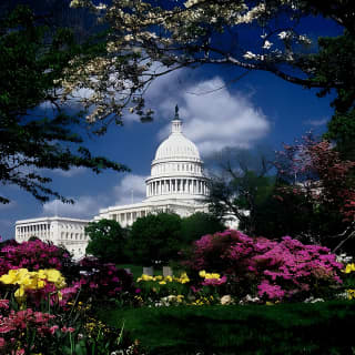 US Capitol & Library of Congress with Guided Walk of Capitol Hill