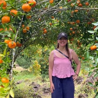 Private Tour Sighting Giant Tortoises and Lava Tunnels