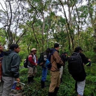 Private Tour Sighting Giant Tortoises and Lava Tunnels