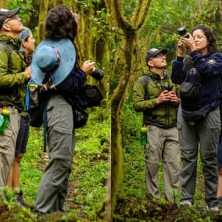 Private Tour Sighting Giant Tortoises and Lava Tunnels