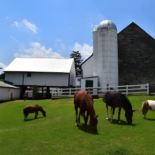 Premium Amish Country Tour including Amish Farm and House