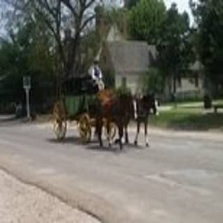 Patriots Tour of Colonial Williamsburg or Williamsburg 101