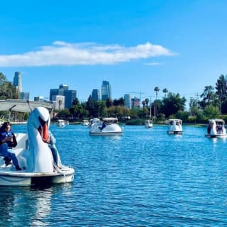 Los Angeles: Swan Boats Rental