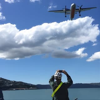 Guided Wellington Sightseeing Tour by Electric Bike