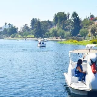 Los Angeles: Swan Boats Rental