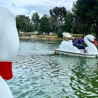 Los Angeles: Swan Boats Rental