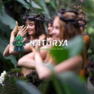 Naturya : le spectacle musical et floral à Paris - Liste d’attente