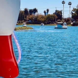 Los Angeles: Swan Boats Rental