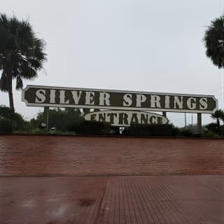 Silver Springs Manatee Kayak Tour