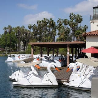 Los Angeles: Swan Boats Rental