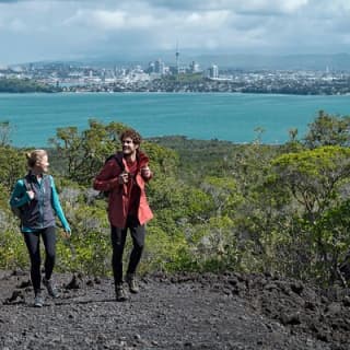 Sunset kayak tour to Rangitoto Island