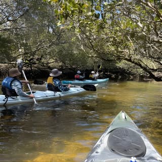 Dolphin Sanctuary Kayak Tour Adelaide