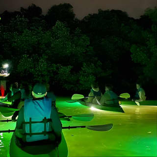 Sharkey's Glass Bottom Fish Feeding LED Night Tour in Sarasota