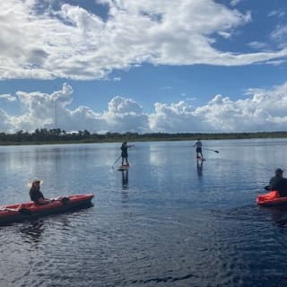 New Smyrna Dolphin and Manatee Kayak and SUP Adventure Tour