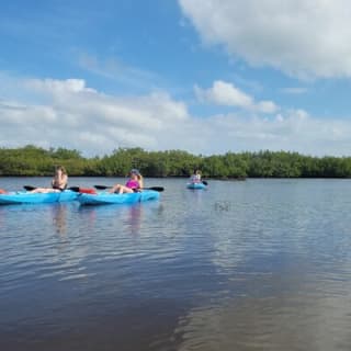 New Smyrna Dolphin and Manatee Kayak and SUP Adventure Tour