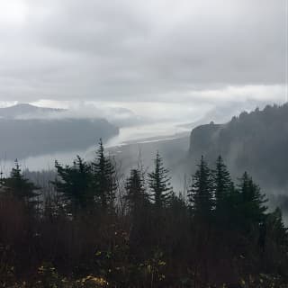 Explore Columbia River Gorge Half-Day Small-Group Tour 