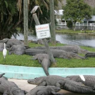 Gatorland Orlando: Skip The Line Ticket