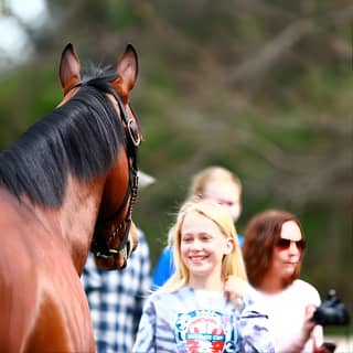 Half-Day Thoroughbred Horse Farm Tour in Kentucky