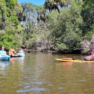 New Smyrna Dolphin and Manatee Kayak and SUP Adventure Tour