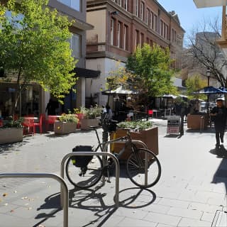 Guided Walking Tour in Adelaide