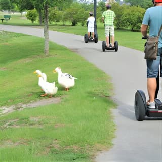 2-Hour Guided Segway Tour of Huntington Beach State Park in Myrtle Beach