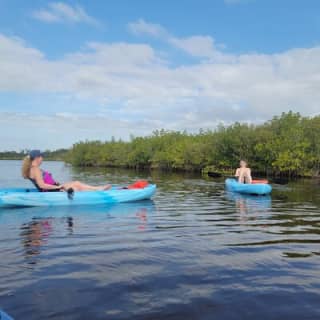 New Smyrna Dolphin and Manatee Kayak and SUP Adventure Tour