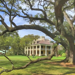 Houmas House Plantation Guided Tour