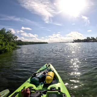 Mangrove Tunnels Pedal Kayak Eco-Tour in Anna Maria