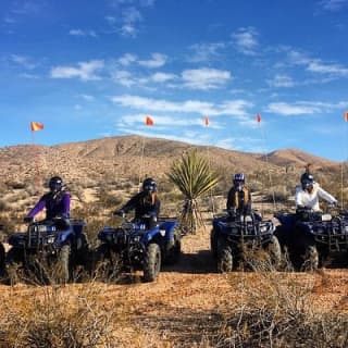 Half-Day Mojave Desert ATV Tour from Las Vegas 