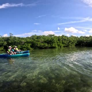 Mangrove Tunnels Pedal Kayak Eco-Tour in Anna Maria