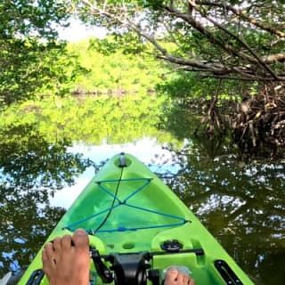 Mangrove Tunnels Pedal Kayak Eco-Tour in Anna Maria