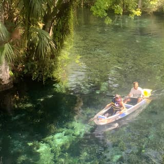 Clear Canoeing and Wildlife Sightseeing at Silver Springs