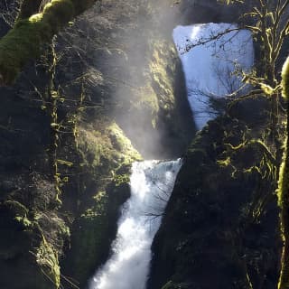 Explore Columbia River Gorge Half-Day Small-Group Tour 