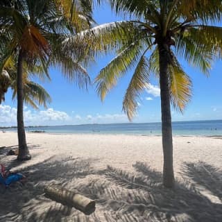 Jet Snorkel Tour in West Palm Beach