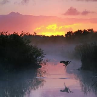 Everglades National Park Self Guided Driving Audio Tour