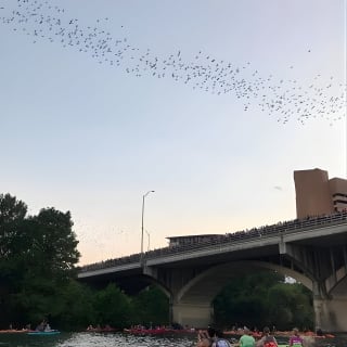 Congress Avenue Bat Bridge Kayak Tour in Austin