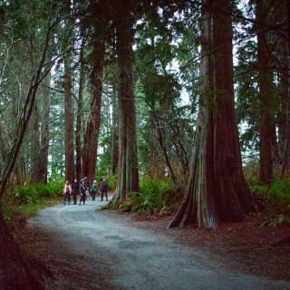 The Dark Secrets of Stanley Park Tour