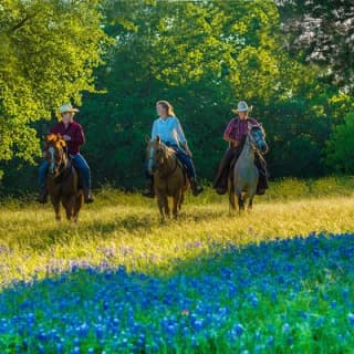 Horseback Riding on Scenic Texas Ranch near Waco