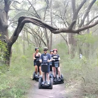 2-Hour Guided Segway Tour of Huntington Beach State Park in Myrtle Beach