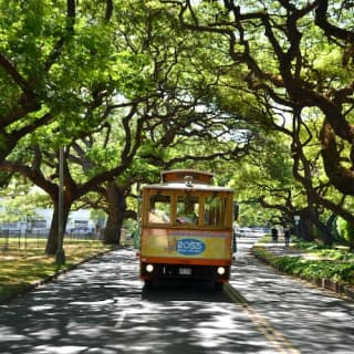 Waikiki Trolley