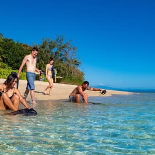 Half Day Low Isles Snorkelling Tour from Port Douglas