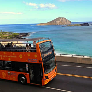 Waikiki Trolley