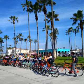 Venice Vibrations Public Bike Tour Experience