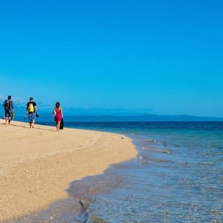 Half Day Low Isles Snorkelling Tour from Port Douglas