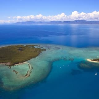 Half Day Low Isles Snorkelling Tour from Port Douglas